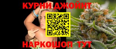гидра Гагарин