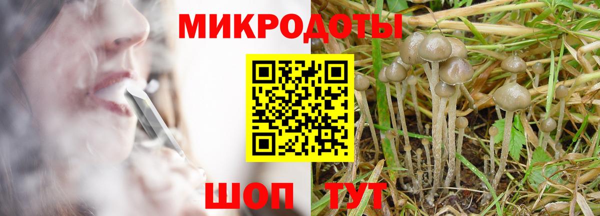 Псилоцибиновые грибы мухоморы Белгород