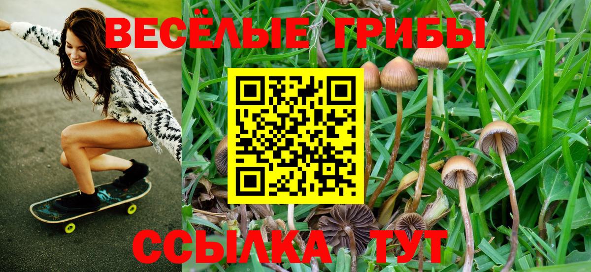 Белгород  как найти закладки  Вход с VPN  Псилоцибиновые грибы Psilocybine cubensis 